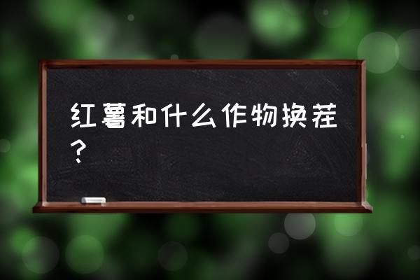 红薯套种什么最佳 红薯和什么作物换茬？