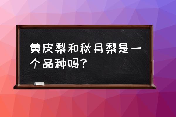 沙梨和梨有什么区别 黄皮梨和秋月梨是一个品种吗？