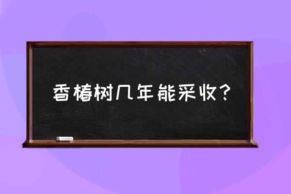 香椿可以一直采摘吗 香椿树几年能采收？