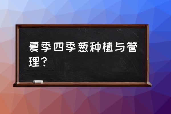 四季小葱种植方法大全 夏季四季葱种植与管理？