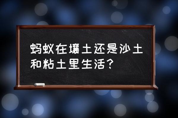 泥土有蚂蚁如何消灭 蚂蚁在壤土还是沙土和粘土里生活？