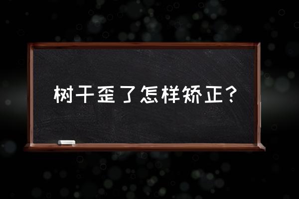 刚栽的树木歪了怎么办 树干歪了怎样矫正？