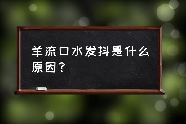 羊口疮最快治愈方法 羊流口水发抖是什么原因？