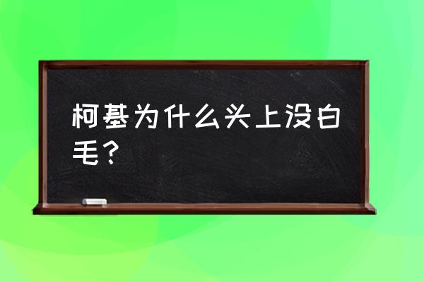 柯基有没有围脖重要吗 柯基为什么头上没白毛？