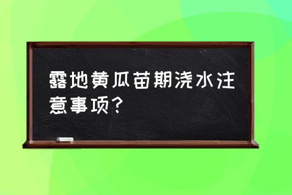 怎样使黄瓜龙头粗壮 露地黄瓜苗期浇水注意事项？