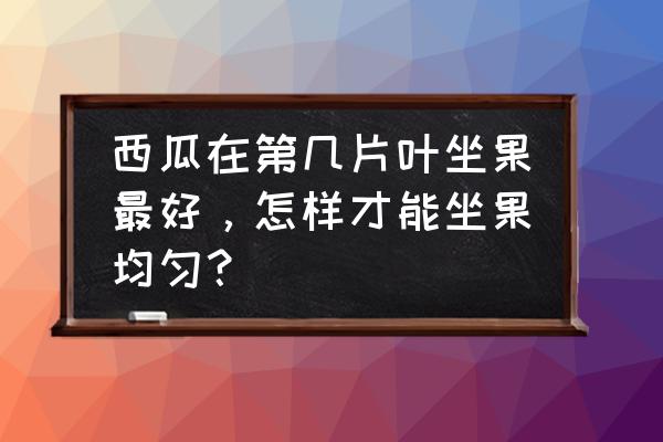 西瓜几月种植几月结果几月成熟 西瓜在第几片叶坐果最好，怎样才能坐果均匀？