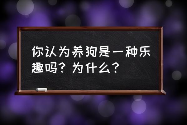 养狗有什么乐趣呢 你认为养狗是一种乐趣吗？为什么？