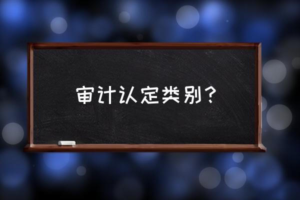 审计六大认定 审计认定类别？