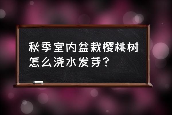 樱桃盆栽的种植与管理 秋季室内盆栽樱桃树怎么浇水发芽？