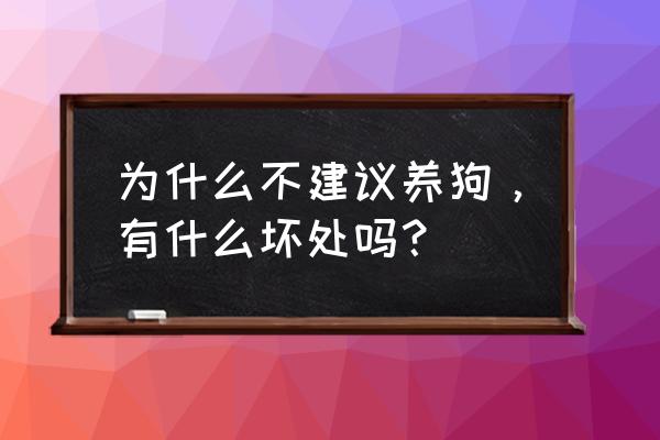 养宠物的十个建议 为什么不建议养狗，有什么坏处吗？