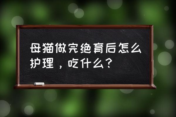 猫猫绝育了怎么护理 母猫做完绝育后怎么护理，吃什么？