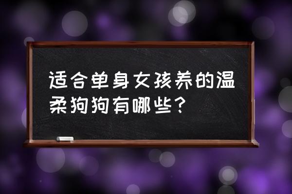 哪些狗比较适合单身女生养 适合单身女孩养的温柔狗狗有哪些？