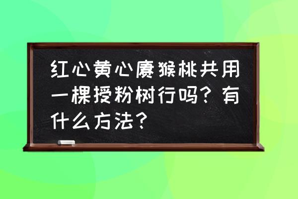 树授粉快速简单的办法 红心黄心猕猴桃共用一棵授粉树行吗？有什么方法？