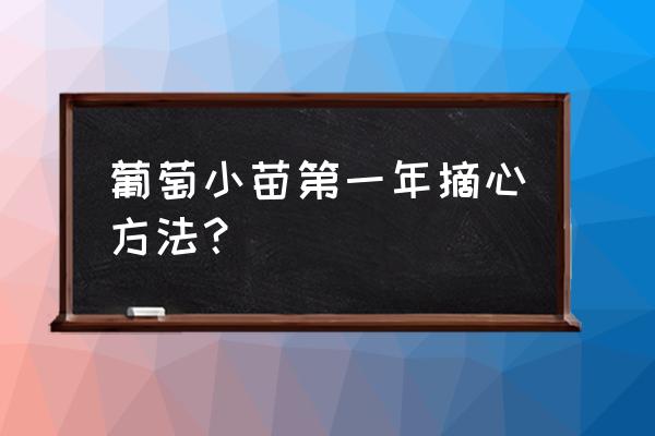 葡萄侧芽留一叶摘心 葡萄小苗第一年摘心方法？