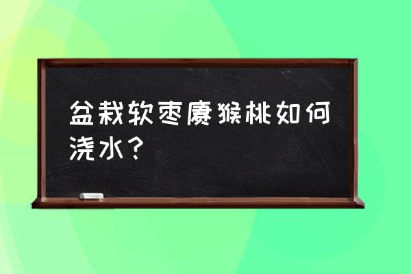 猕猴桃盆栽怎么养小技巧记得收藏 盆栽软枣猕猴桃如何浇水？