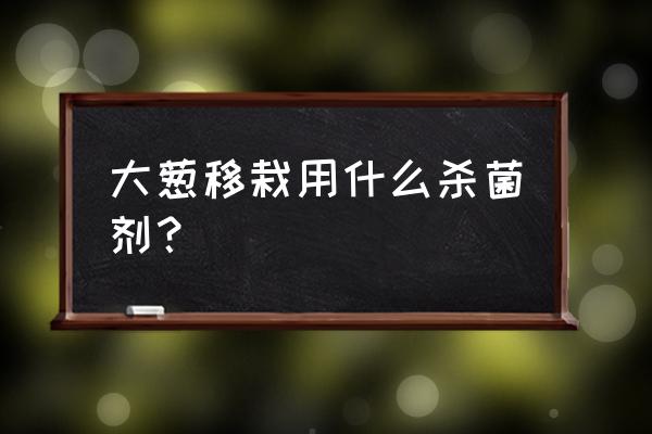 什么药治大葱黑霉病和灰霉病最好 大葱移栽用什么杀菌剂？