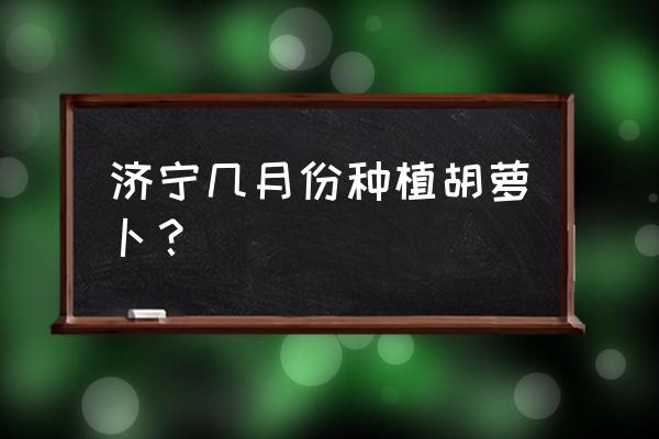 胡萝卜的种植周期 济宁几月份种植胡萝卜？