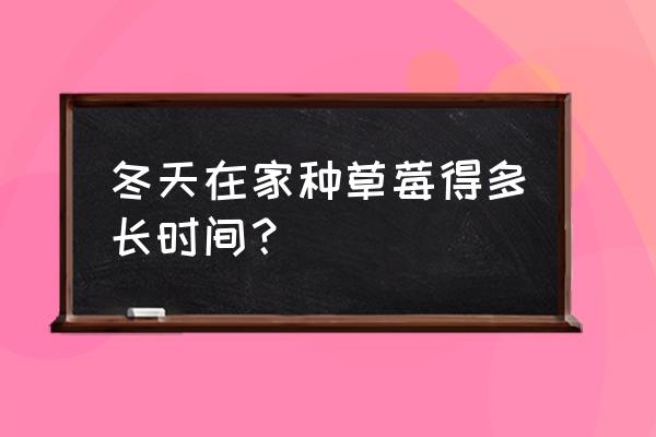 在阳台种草莓怎么种 冬天在家种草莓得多长时间？