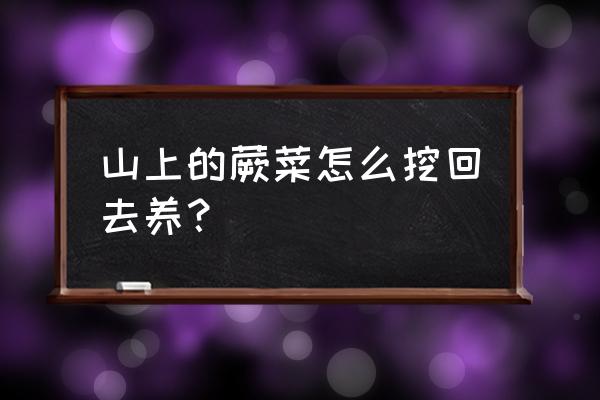 从外面挖回来的蕨类植物怎么养 山上的蕨菜怎么挖回去养？