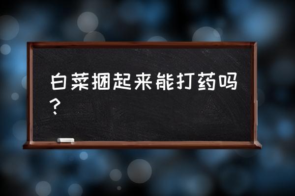 白菜打什么农药更合适 白菜捆起来能打药吗？