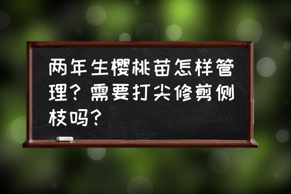 樱桃第二年树苗的修剪 两年生樱桃苗怎样管理？需要打尖修剪侧枝吗？