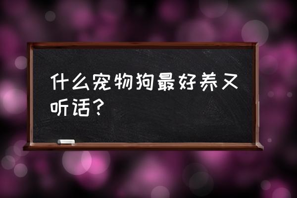 什么狗最好养又听话还便宜不生病 什么宠物狗最好养又听话？