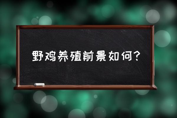 豪猪养殖许可证怎么办 野鸡养殖前景如何？