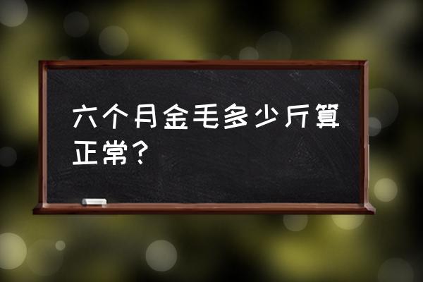 三个月金毛体重和身高 六个月金毛多少斤算正常？