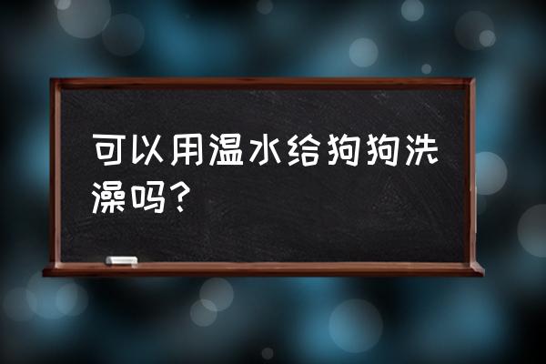 给宠物洗澡的方法和技巧 可以用温水给狗狗洗澡吗？