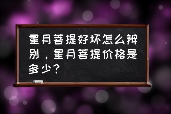 最好的星月菩提怎样选 星月菩提好坏怎么辨别，星月菩提价格是多少？