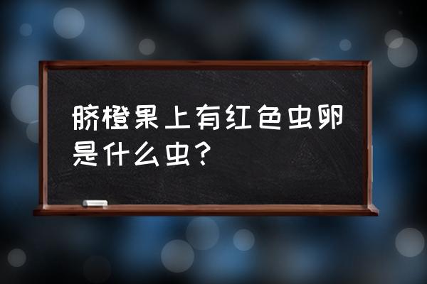 脐橙的功效与作用及副作用 脐橙果上有红色虫卵是什么虫？