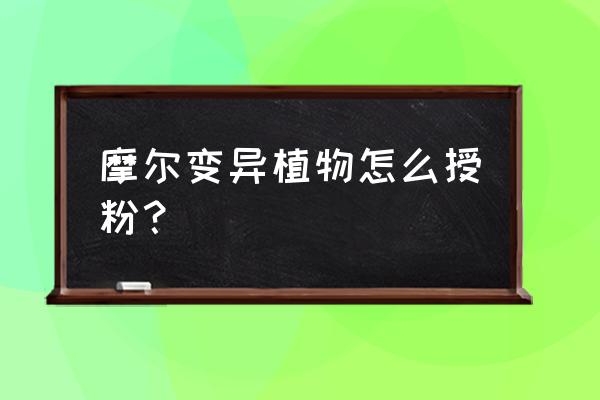 摩尔庄园手游肥料怎么得 摩尔变异植物怎么授粉？