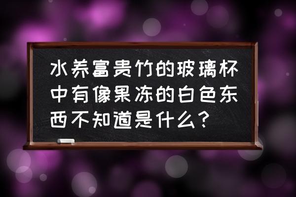 各种颜色的海绵宝宝果冻怎么做 水养富贵竹的玻璃杯中有像果冻的白色东西不知道是什么？