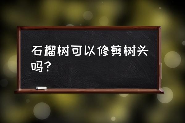 石榴需要剪枝吗怎样剪 石榴树可以修剪树头吗？