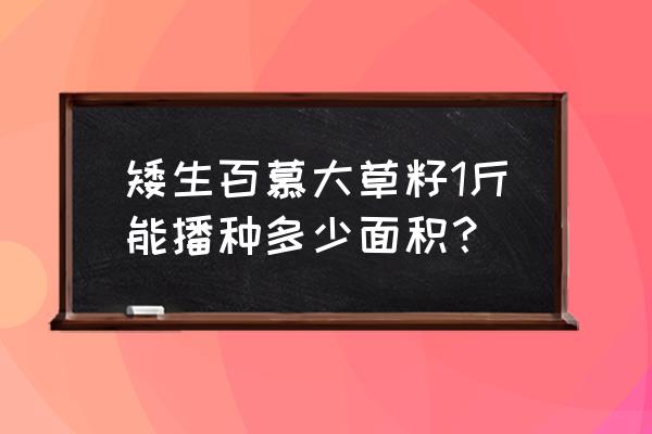 百慕大草坪多少钱一平方 矮生百慕大草籽1斤能播种多少面积？