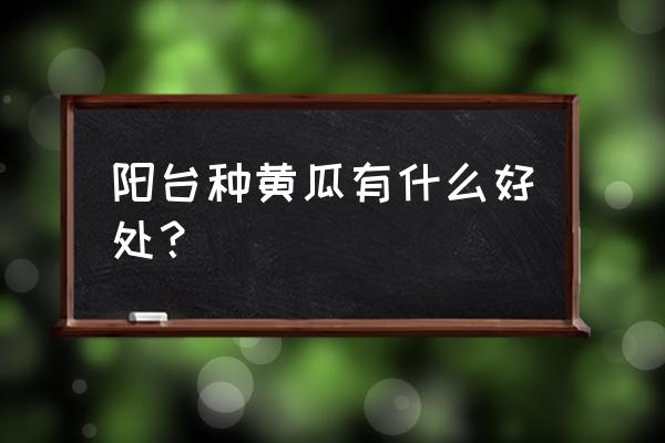 阳台种黄瓜最佳方法 阳台种黄瓜有什么好处？