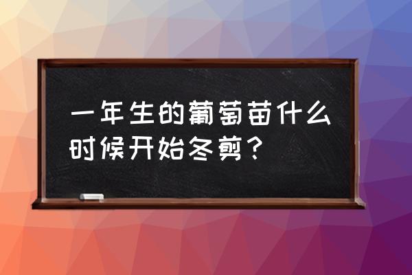 第一年葡萄苗怎么修剪 一年生的葡萄苗什么时候开始冬剪？