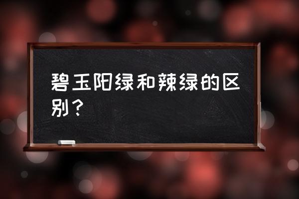 翡翠手镯怎么选才是最好的阳绿 碧玉阳绿和辣绿的区别？