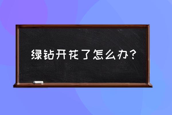 绿钻花卉需什么肥料 绿钻开花了怎么办？