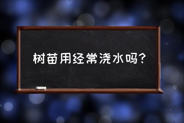 怎么给大面积苗木浇水 树苗用经常浇水吗？