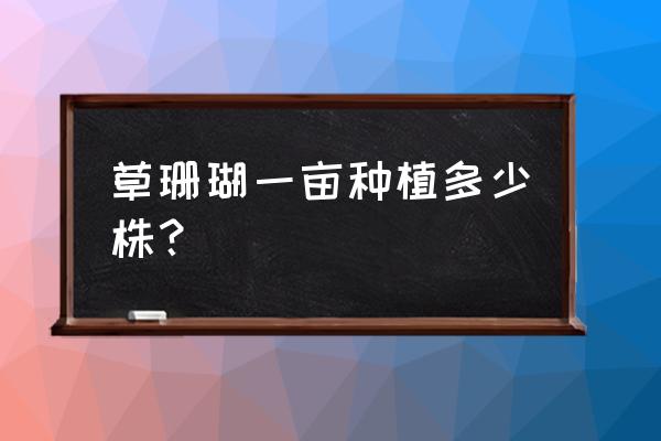 草珊瑚为什么不能在家里种 草珊瑚一亩种植多少株？